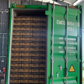 Mentos Rainbow 29.7g x 16 Rolls x 24 Boxes