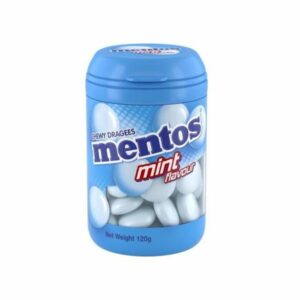 Mentos Bottle Mint 120gr